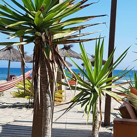 Beau Studio A 1 Minute De La * Canet-en-Roussillon